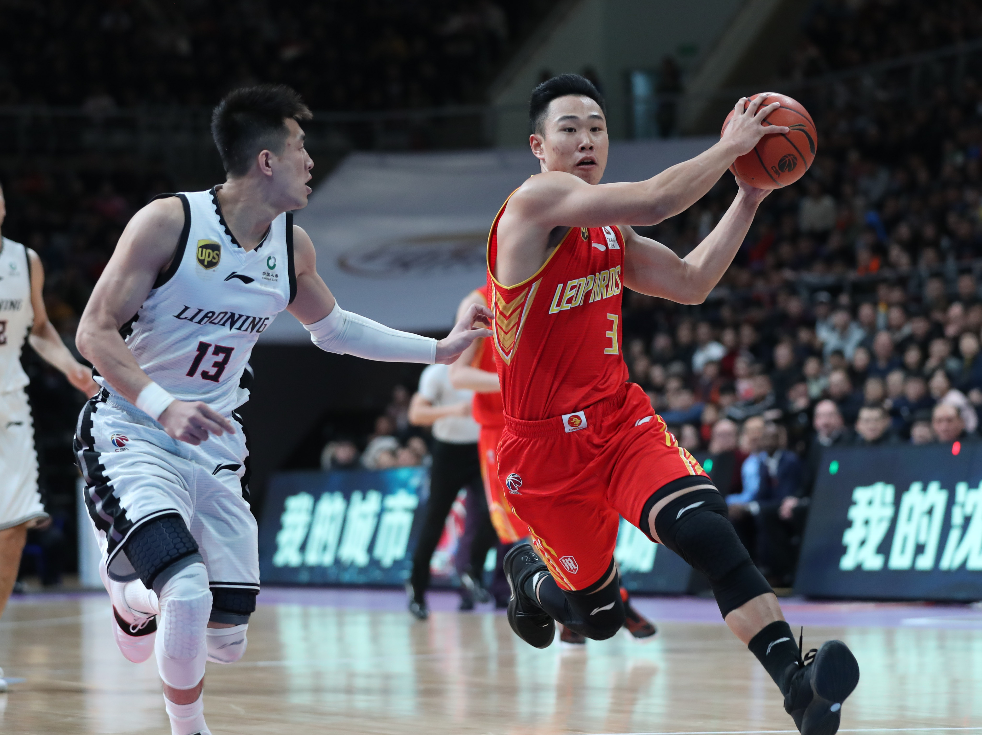 目涵盖多个 目涵盖多个