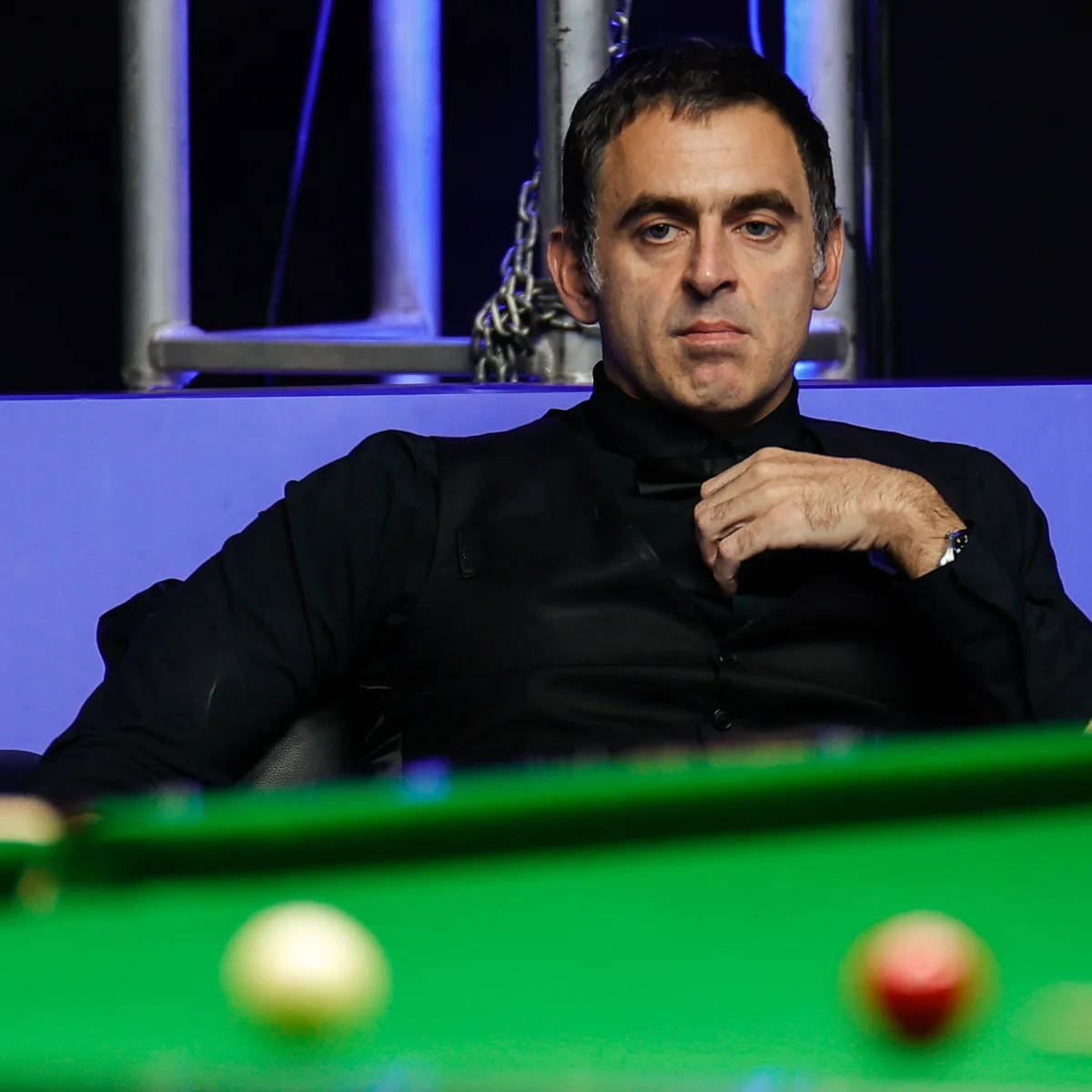 带来更多的 带来更多的