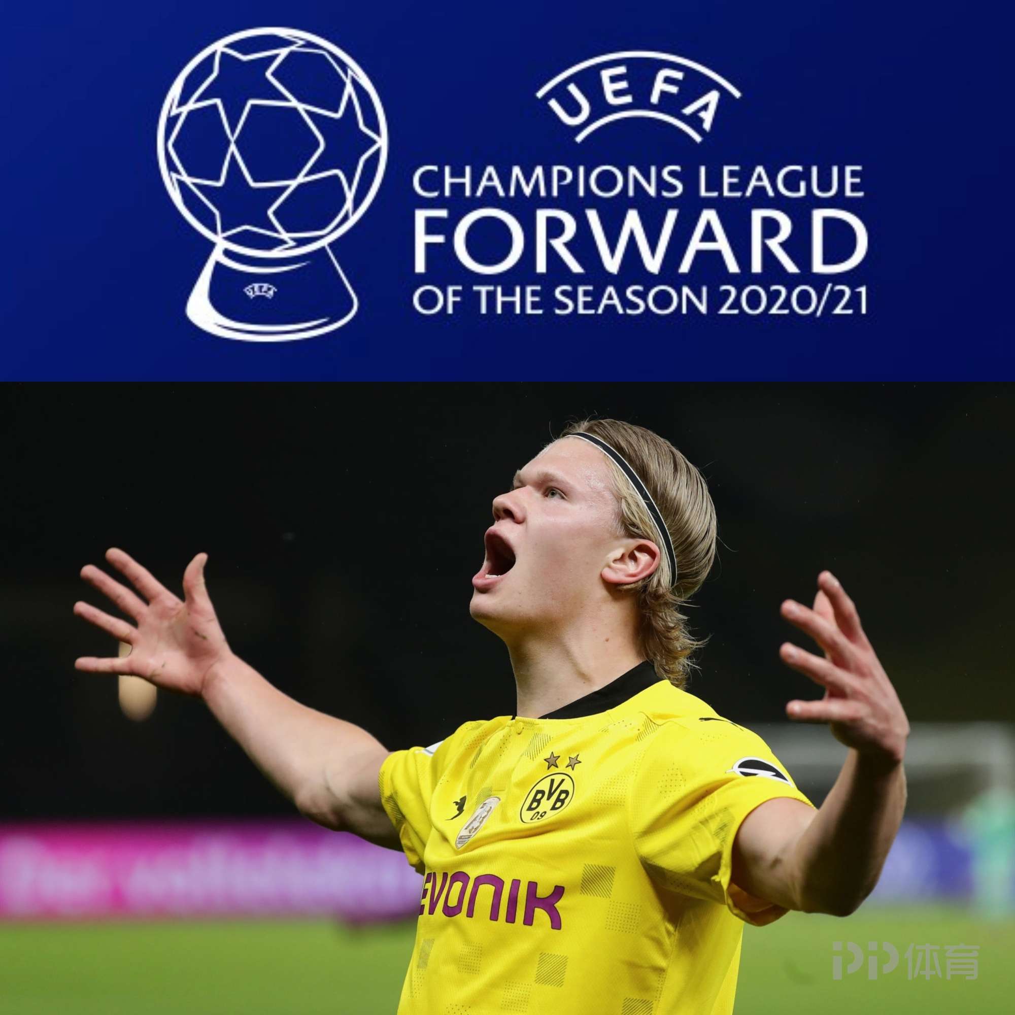 成熟的結構 成熟的結構