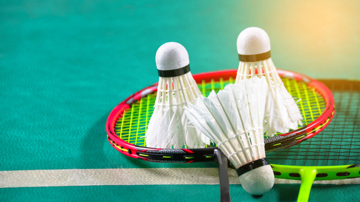 提供了差异 提供了差异